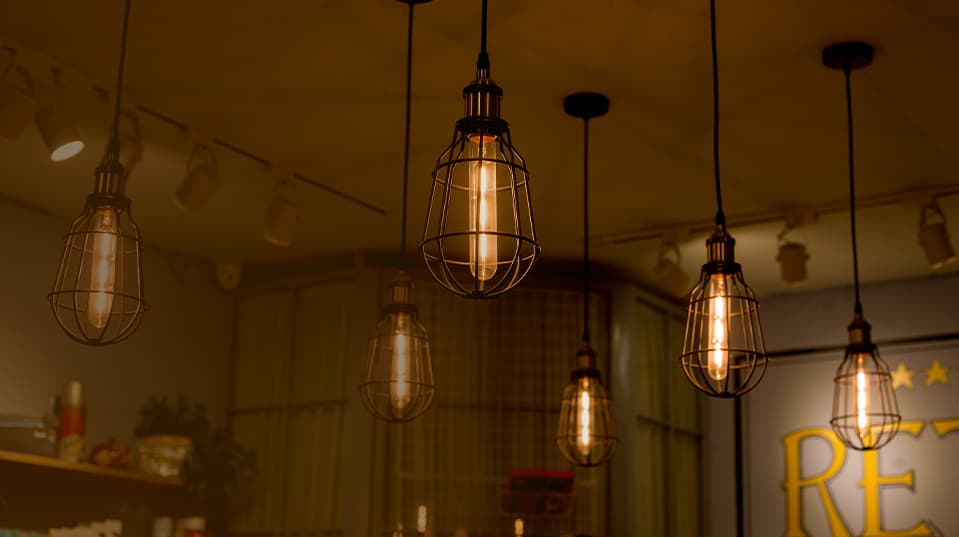 LED Oversized ST24 Bulbs